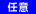任意入力項目